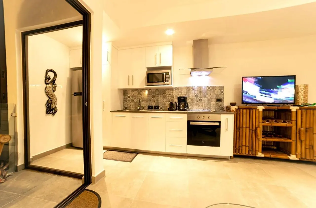 Beautiful Penthouse For 2 With Private Patio, 2 Bikes Included And Pool! Villa Tulum